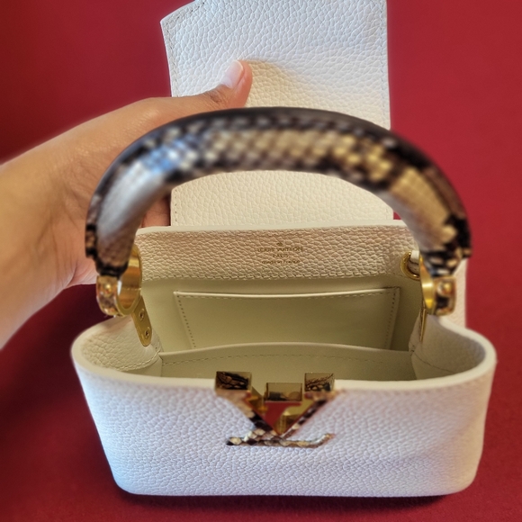 Louis Vuitton Mini Capucine with Exotic Touch - Picture 9 of 10